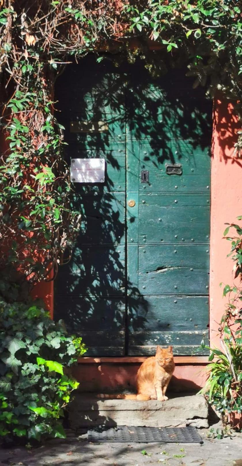 Apartments Campo De Fiori Rzym Zewnętrze zdjęcie